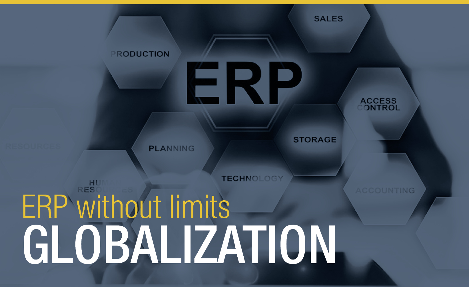 How ERP-Systems Support Global Trade